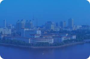 教师出国